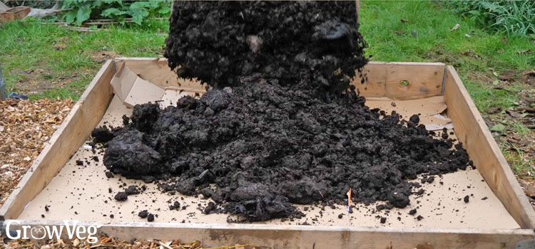 Starting a new no-dig bed