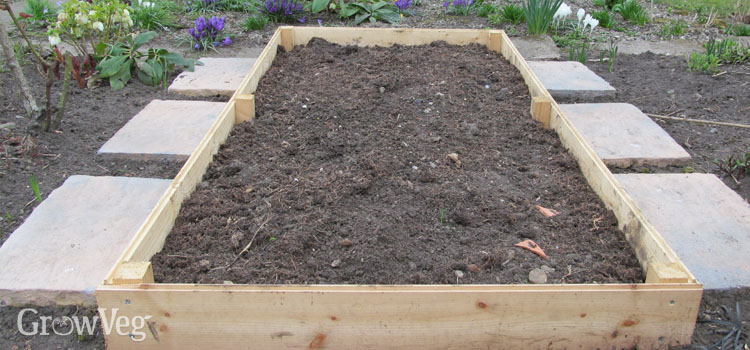 Treating Wood For Vegetable Gardens, What Is The Best Timber To Use For Garden Beds