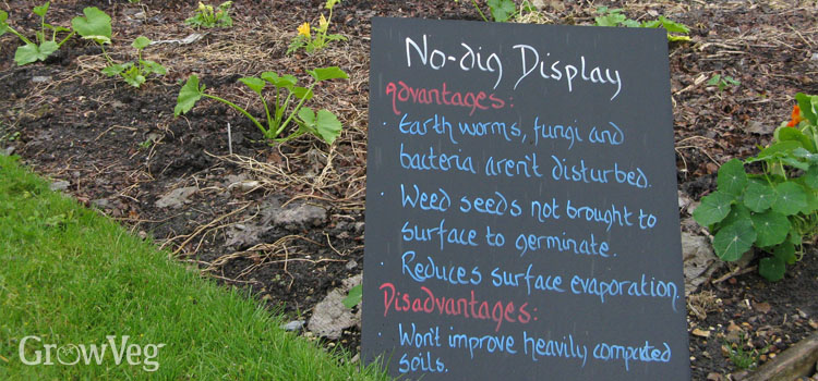No-dig demonstration garden at Capel Manor College