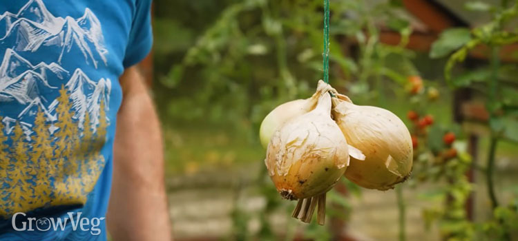 Threading an onion string