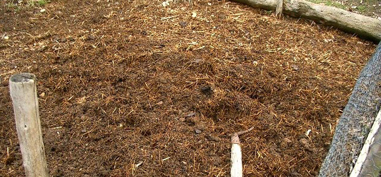 Warming soil in preparation for planting using organic matter