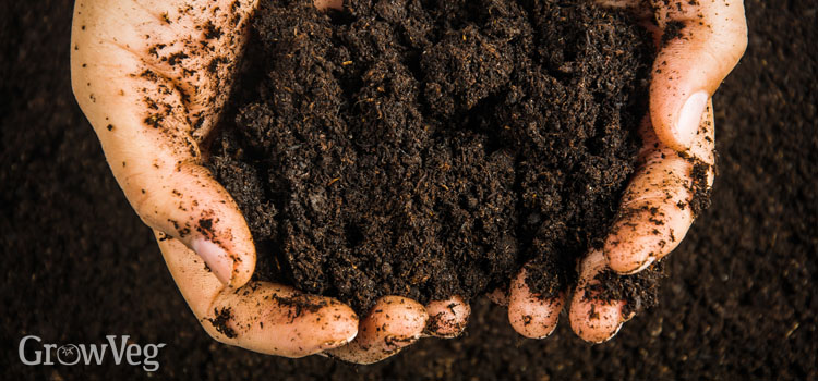 Rich organic matter for healthy soils