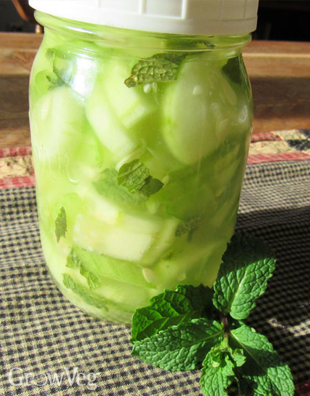 Cucumber celery pickle juice