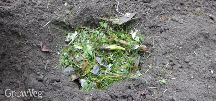 Composting Techniques