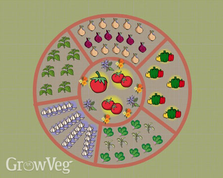 Pizza garden plan