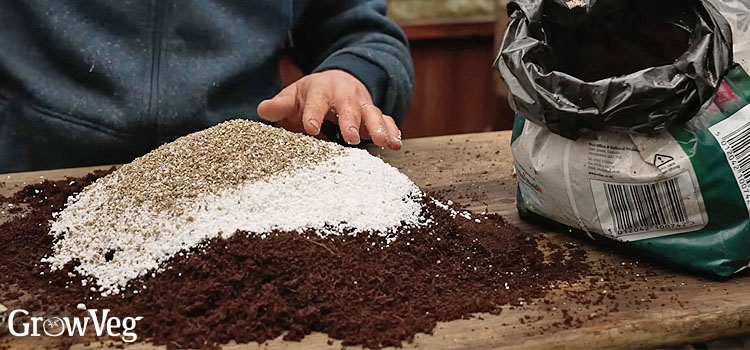 Homemade seed-starting mix