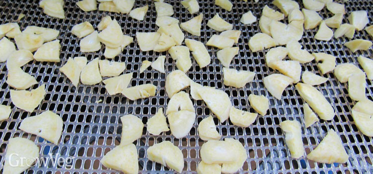 Drying garlic