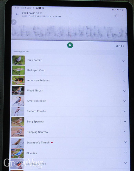 The free Merlin app from Cornell University identifies birds by sound and appearance.