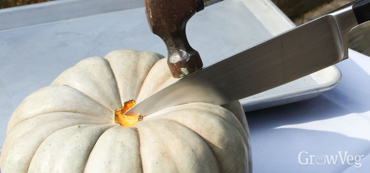 Cutting open a thick-skinned ‘Jarrahdale’ pumpkin using a stout knife and a hammer