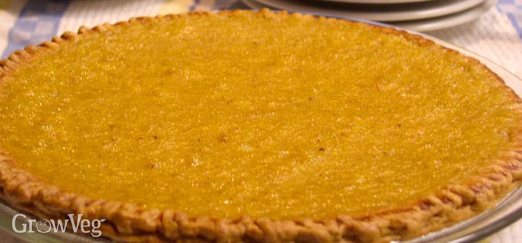 Pumpkin pie - a thanksgiving treat