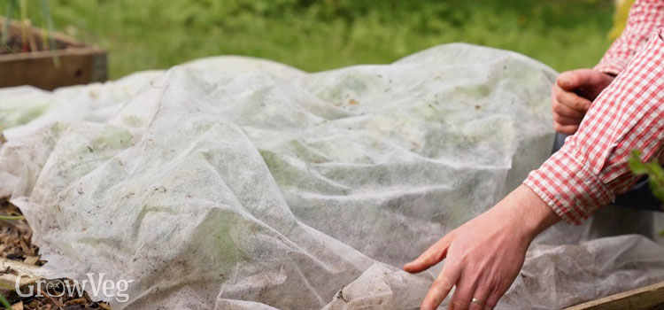 Horticultural fleece