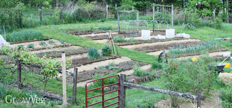 Terraced vegetable garden