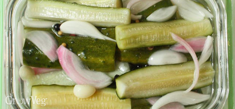 Refrigerator pickles