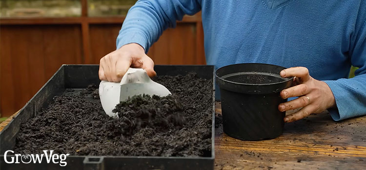 Plastic bottle scoop