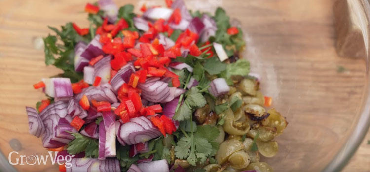 Green tomato salsa ingredients