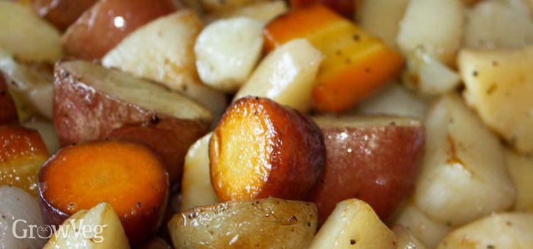 Oven roasted vegetables are a delight during fall and autumn