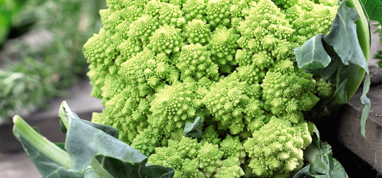 https://gardenplannerwebsites.azureedge.net/blog/romanesco-cauliflower-suttons-2x.jpg