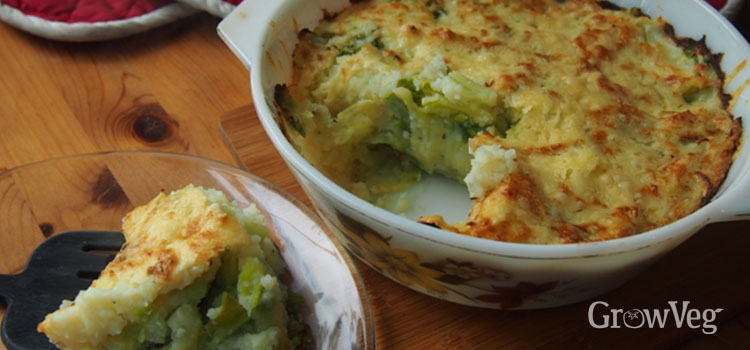 Traditional Scottish dish ‘rumbledethumps’ made with potatoes and spring cabbage