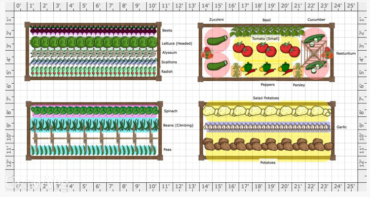 Beginner garden plan