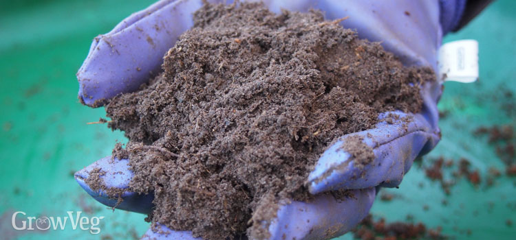 What Plants Grow Well In Sandy Loam Soil