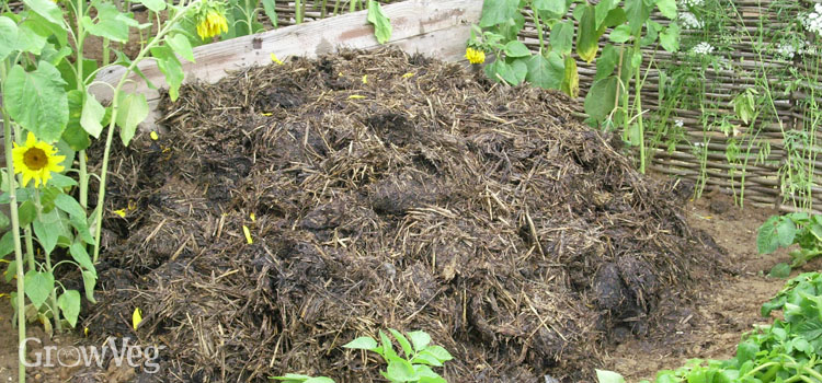 The Secret To Improving Sandy Soil, How To Add Nutrients Garden Soil