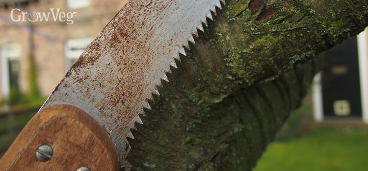 Pruning saw