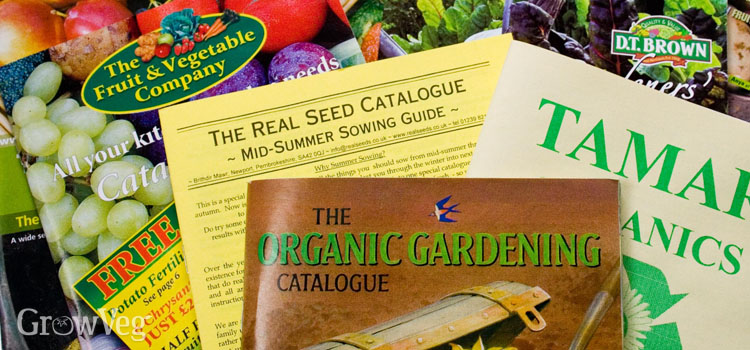 A selection of vegetable seed catalogues from the UK