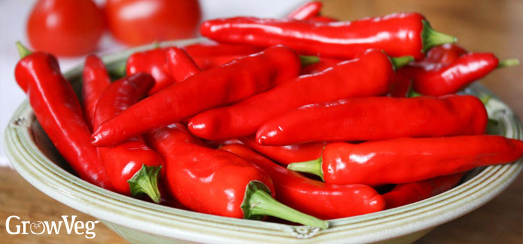 Chillies