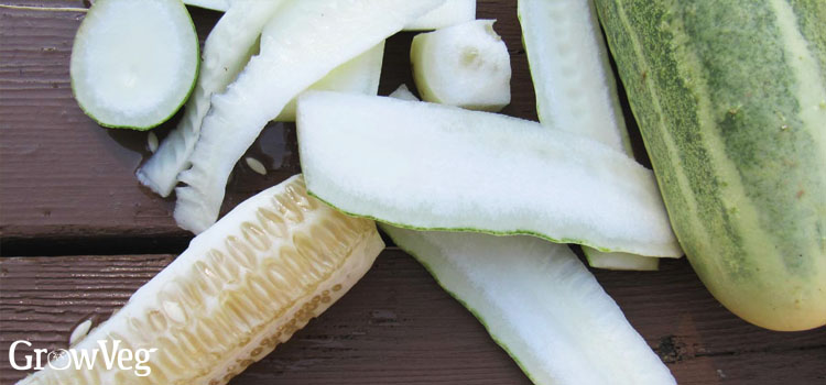 Saving cucumber seeds
