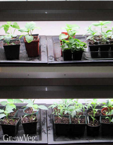 T5 Grow Light Propagation Light Hydroponics Cuttings Seedlings