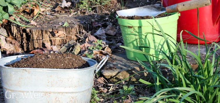 Compost helps restore balance to soil that hosts plant diseases