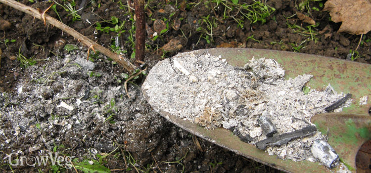 Wood ash for fruit crops