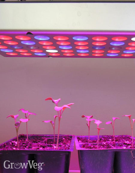 Grow lights