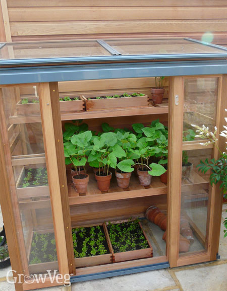 Plant house doors open to ventilate it