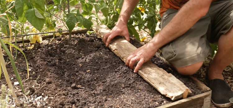 Placing a board over a sown row