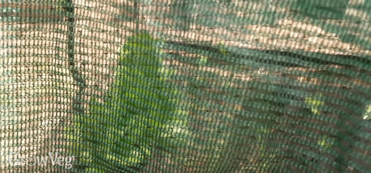 Shade cloth
