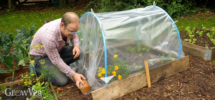 Making a mini hoop house