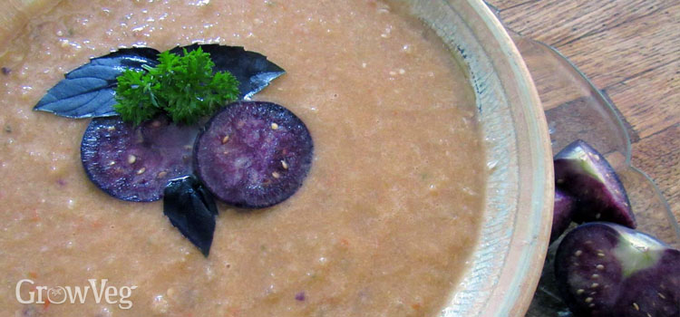 Tomatillo gazpacho