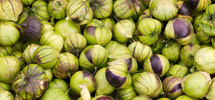 4 Tantalisingly Tasty Tomatillo Recipes