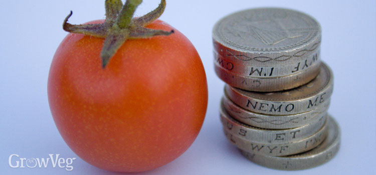 Tomato and coins