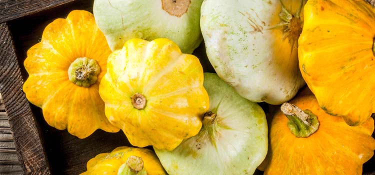 Patty pan squash