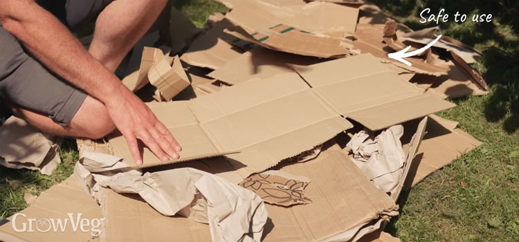 Safe to use cardboard in the garden