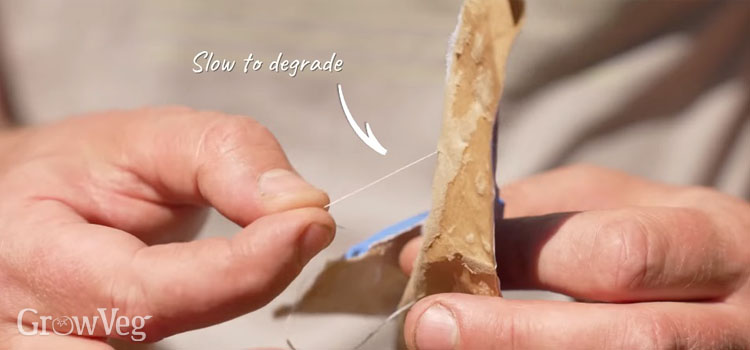 Biodegradable tape on cardboard