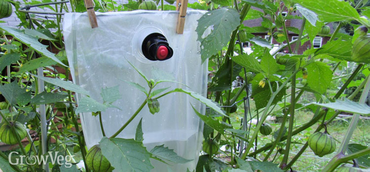 Trickle irrigation bag