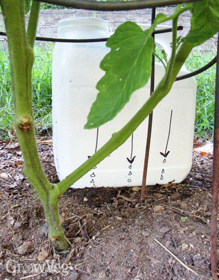 Drip irrigation jug