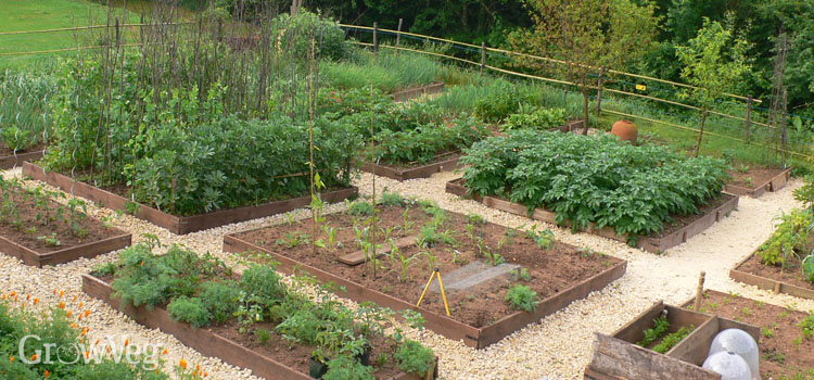 How To Plan A Vegetable Garden Step, Sample Vegetable Garden Layout