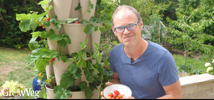 Ben with his Greenstalk planter