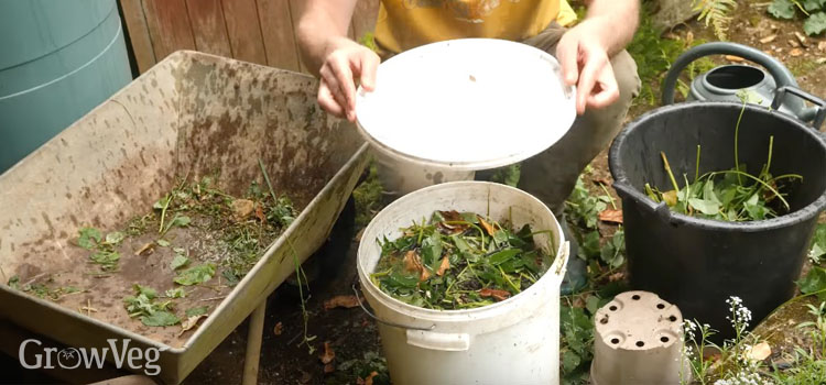 Making fertilizer from weeds