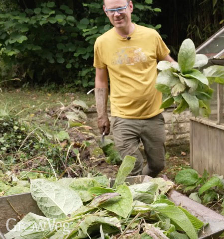 Harvesting weeds to make fertilizer