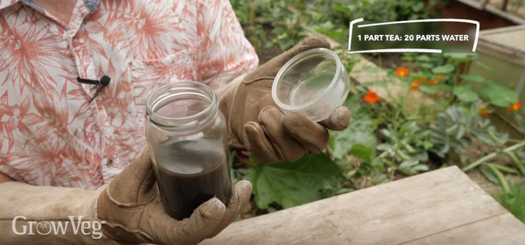 Super-concentrated liquid fertiliser made from weeds